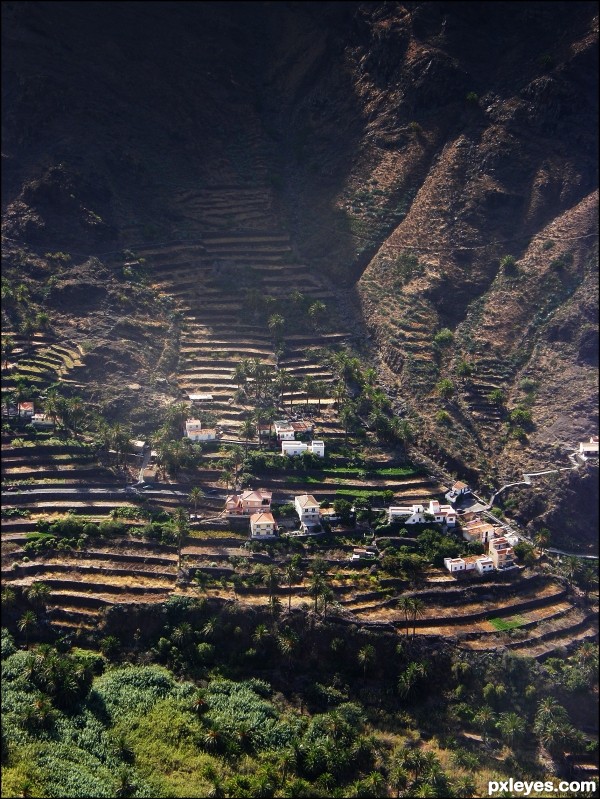 Terraced Farmland